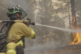 Испания задействовала исторический объём международной помощи в борьбе с пожарами