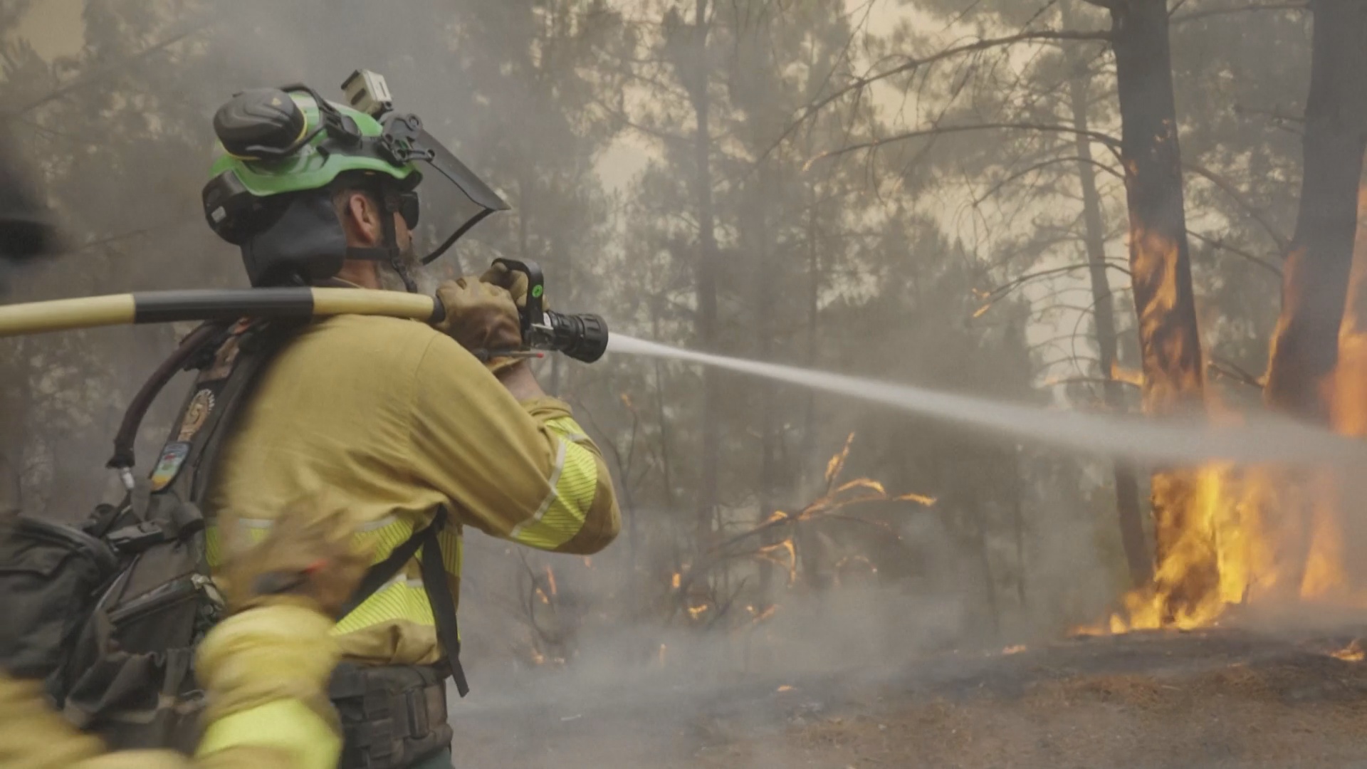 Испания задействовала исторический объём международной помощи в борьбе с пожарами Испания задействовала исторический объём международной помощи в борьбе с пожарами