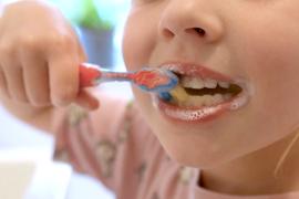 Зубную пасту из шерсти для восстановления эмали создали учёные