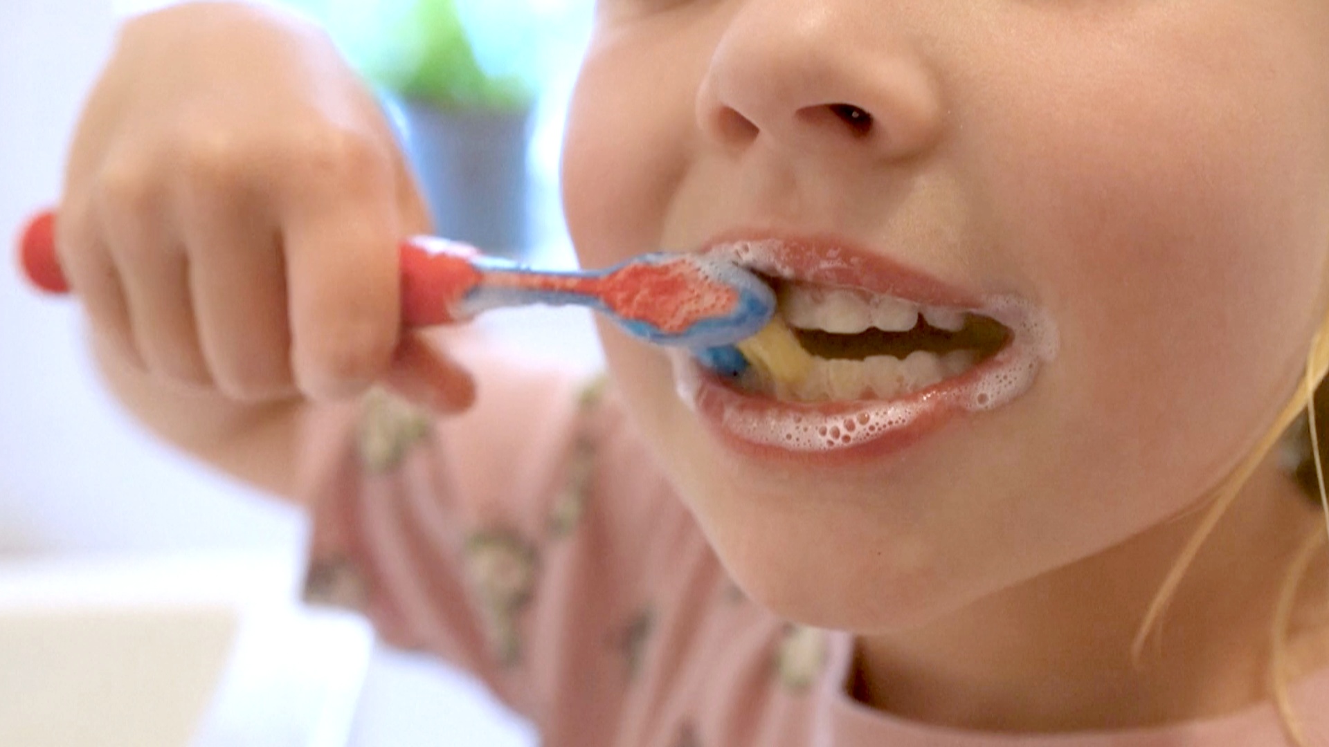 Зубную пасту из шерсти для восстановления эмали создали учёные