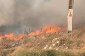 Драматичный август: лесные пожары продолжают бушевать в Испании