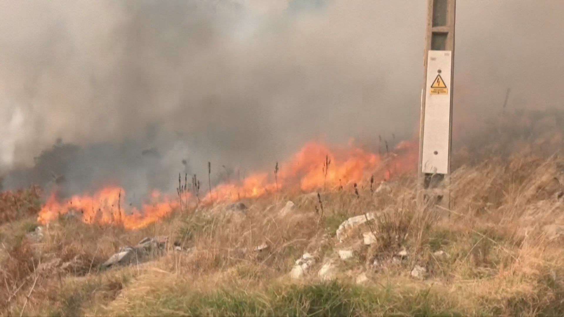 Драматичный август: лесные пожары продолжают бушевать в Испании Драматичный август: лесные пожары продолжают бушевать в Испании