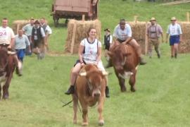 Скачки на волах: как развлекаются в деревне на юге Германии