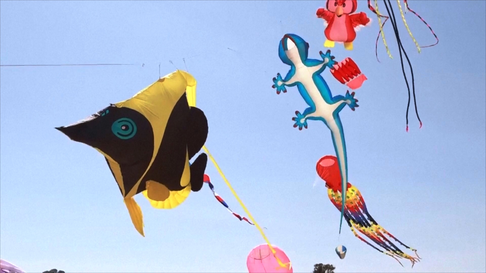 Воздушные змеи летают над черноморским побережьем Болгарии, повторяя маршрут миграции птиц Воздушные змеи летают над черноморским побережьем Болгарии, повторяя маршрут миграции птиц