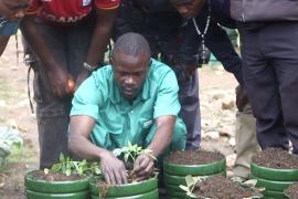 Молодёжь Уганды обучают городскому фермерству