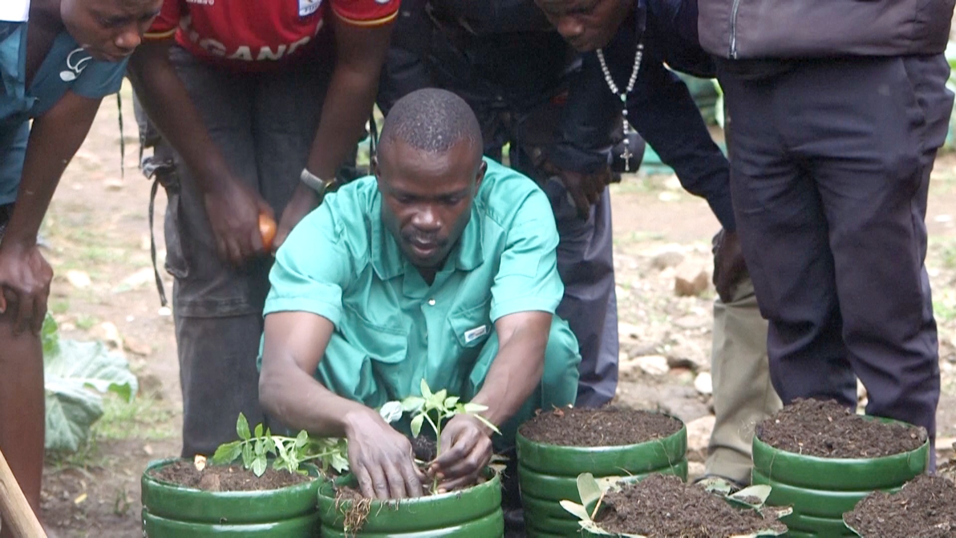 Молодёжь Уганды обучают городскому фермерству Молодёжь Уганды обучают городскому фермерству