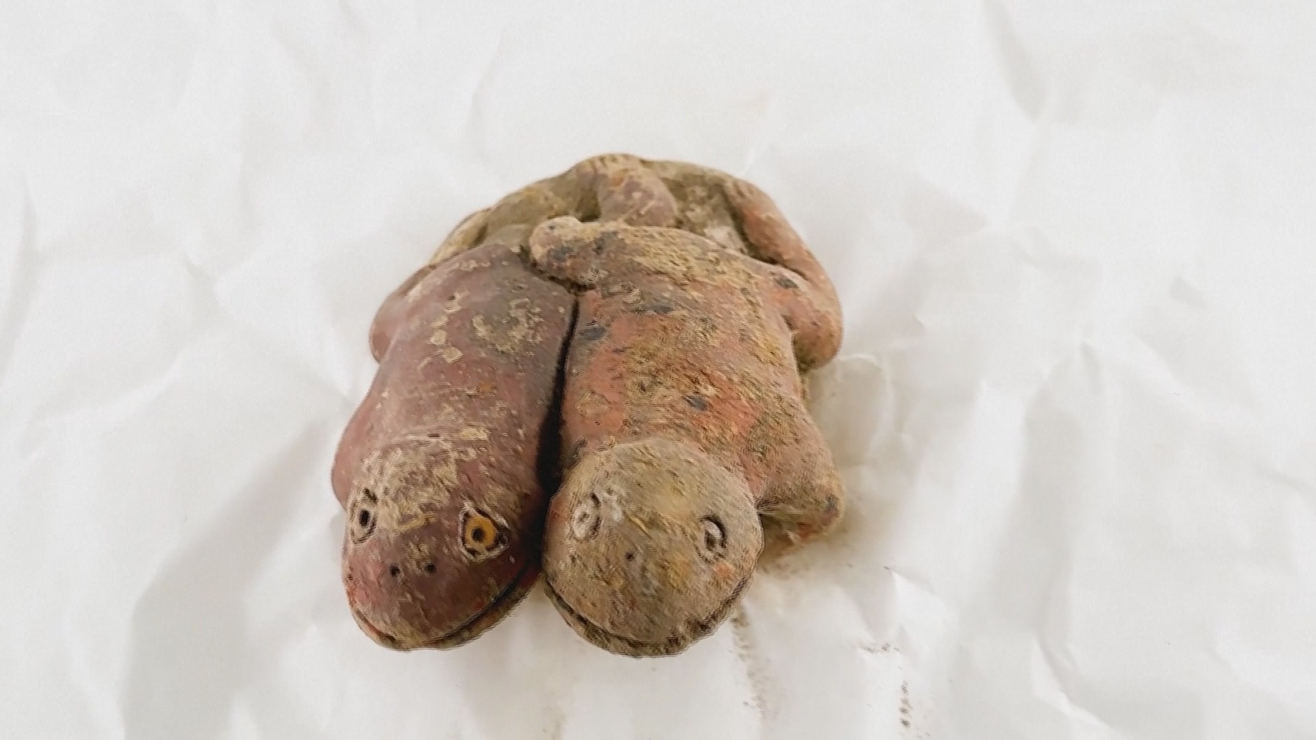 Учёные: фигурка двух жаб свидетельствует о гибели древней цивилизации из-за засухи