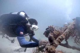 Дайверы высадили кораллы у полуострова Мусандам в Омане