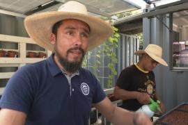 Кубинский стартап выращивает микрозелень и мечтает помочь людям