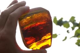 Туристы превращаются в охотников за янтарём на балтийском побережье