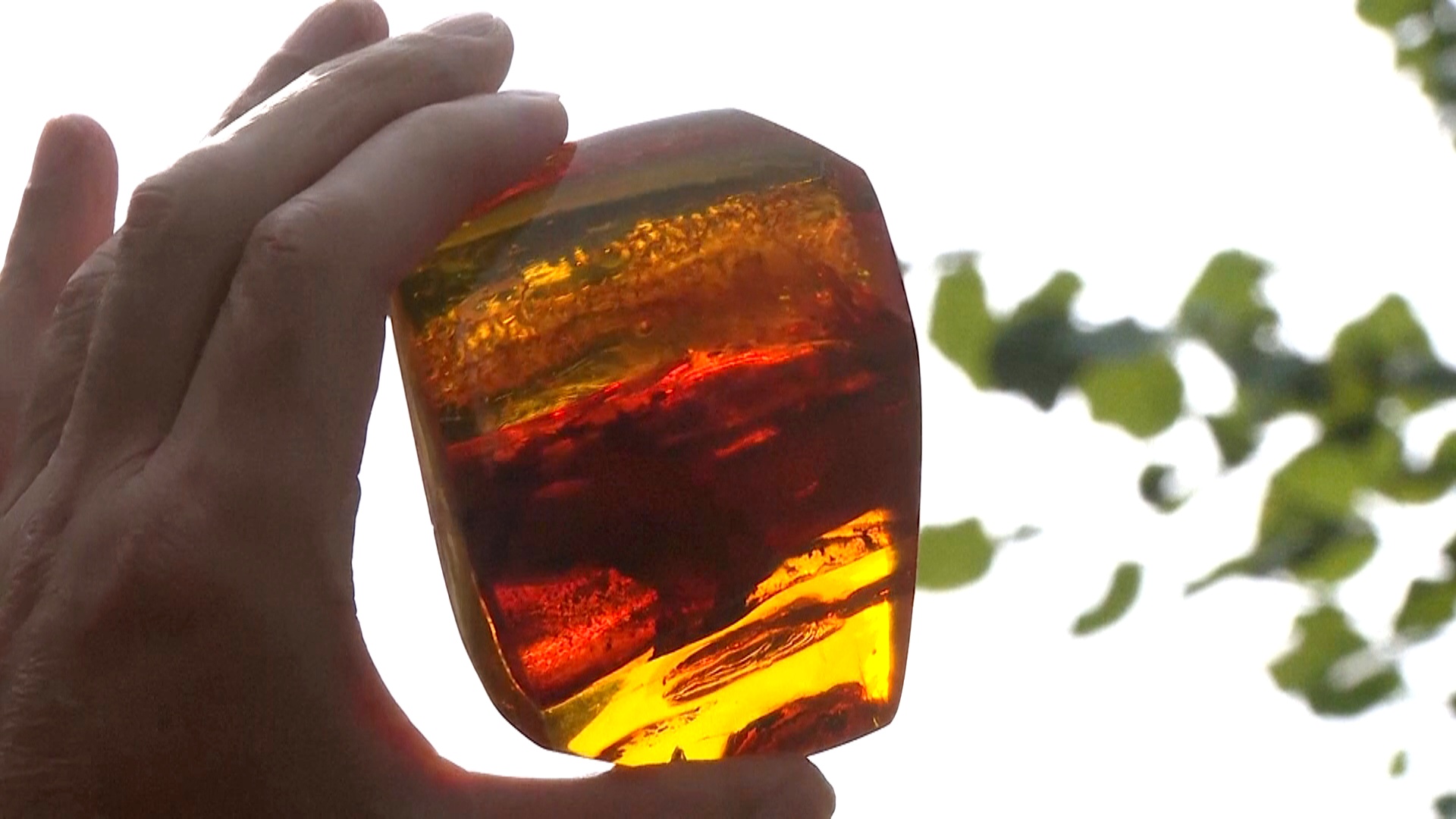 Туристы превращаются в охотников за янтарём на балтийском побережье Туристы превращаются в охотников за янтарём на балтийском побережье