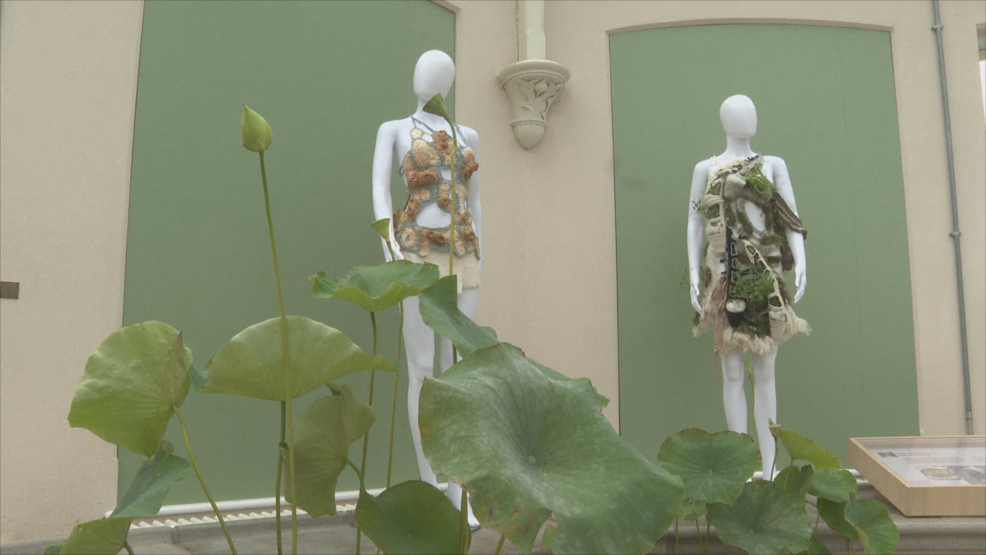 Выставка в Садах Кью в Лондоне призывает создавать экологичную одежду