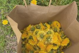 Собирательство – новейший тренд в еде