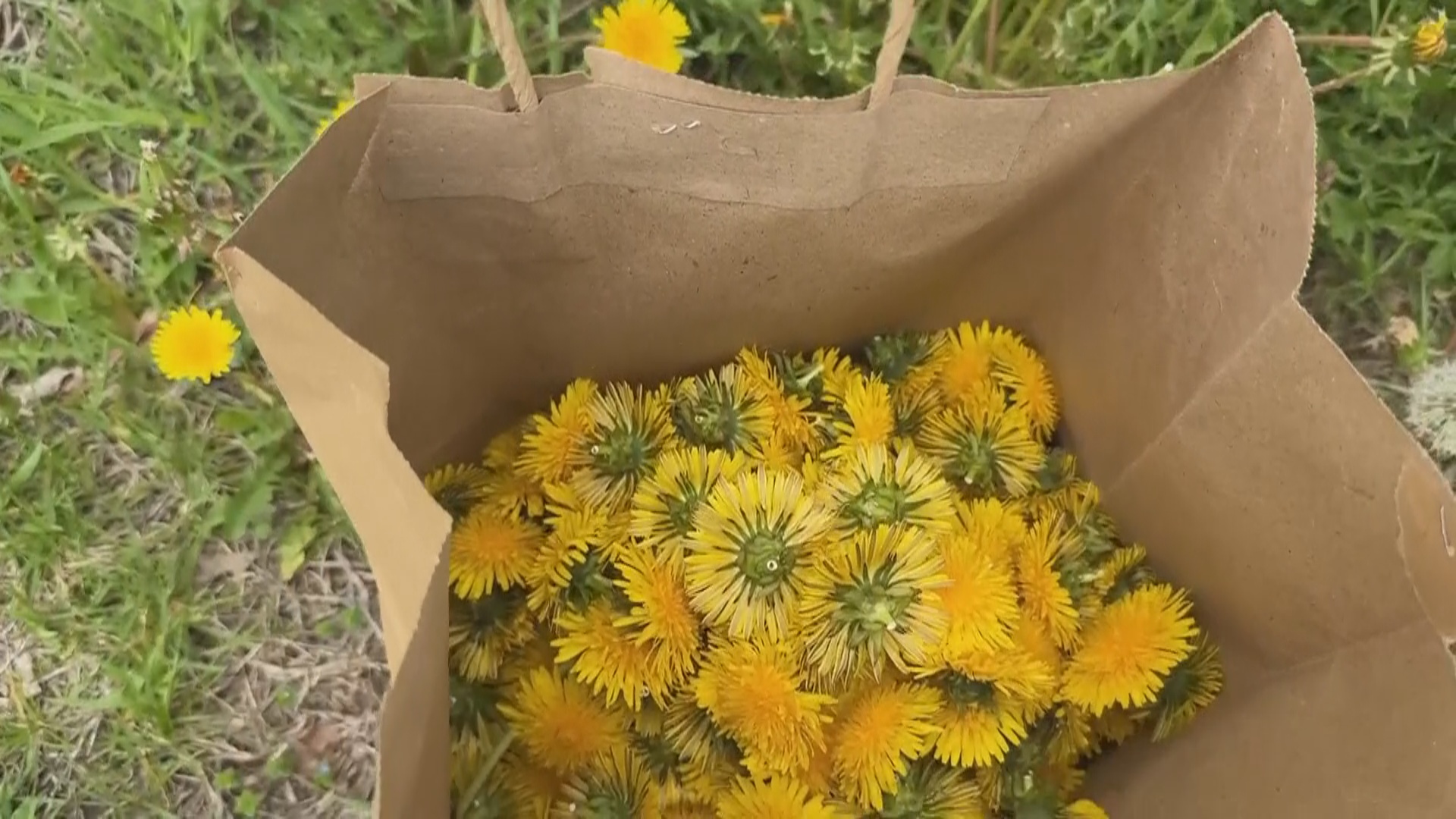 Собирательство – новейший тренд в еде Собирательство – новейший тренд в еде