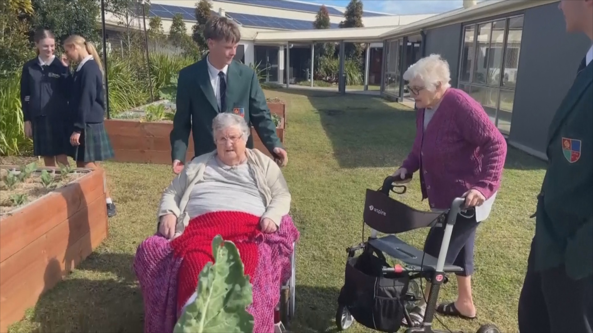 Школьники и пожилые люди объединяются, выращивая вместе овощи