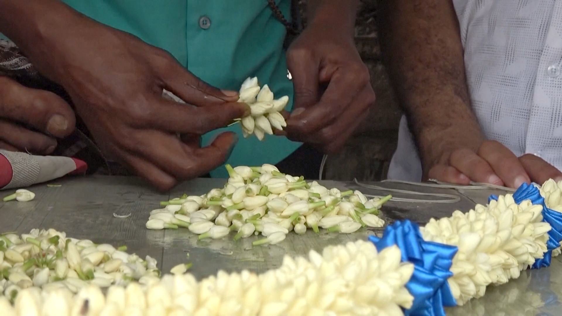 С полей в свадебные залы: путь арабского жасмина в Йемене