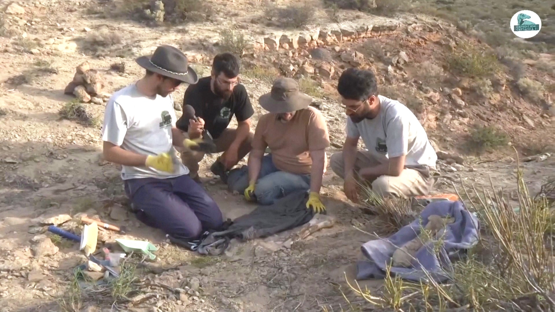 В аргентинской Патагонии нашли редкие окаменелости динозавров В аргентинской Патагонии нашли редкие окаменелости динозавров