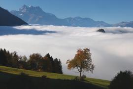 Танцующий туман придал ещё больше очарования осеннему пейзажу в швейцарских Альпах