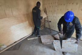 Кенийская компания превращает грибы в экологичные стройматериалы