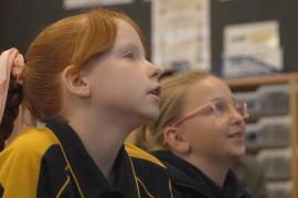 Начальные школы Тасмании ищут способ улучшить образование детей