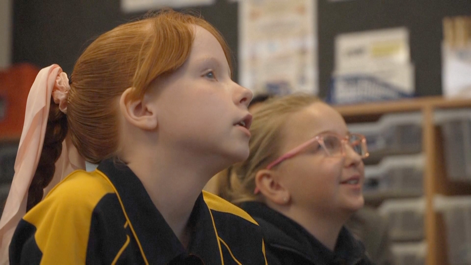 Начальные школы Тасмании ищут способ улучшить образование детей Начальные школы Тасмании ищут способ улучшить образование детей