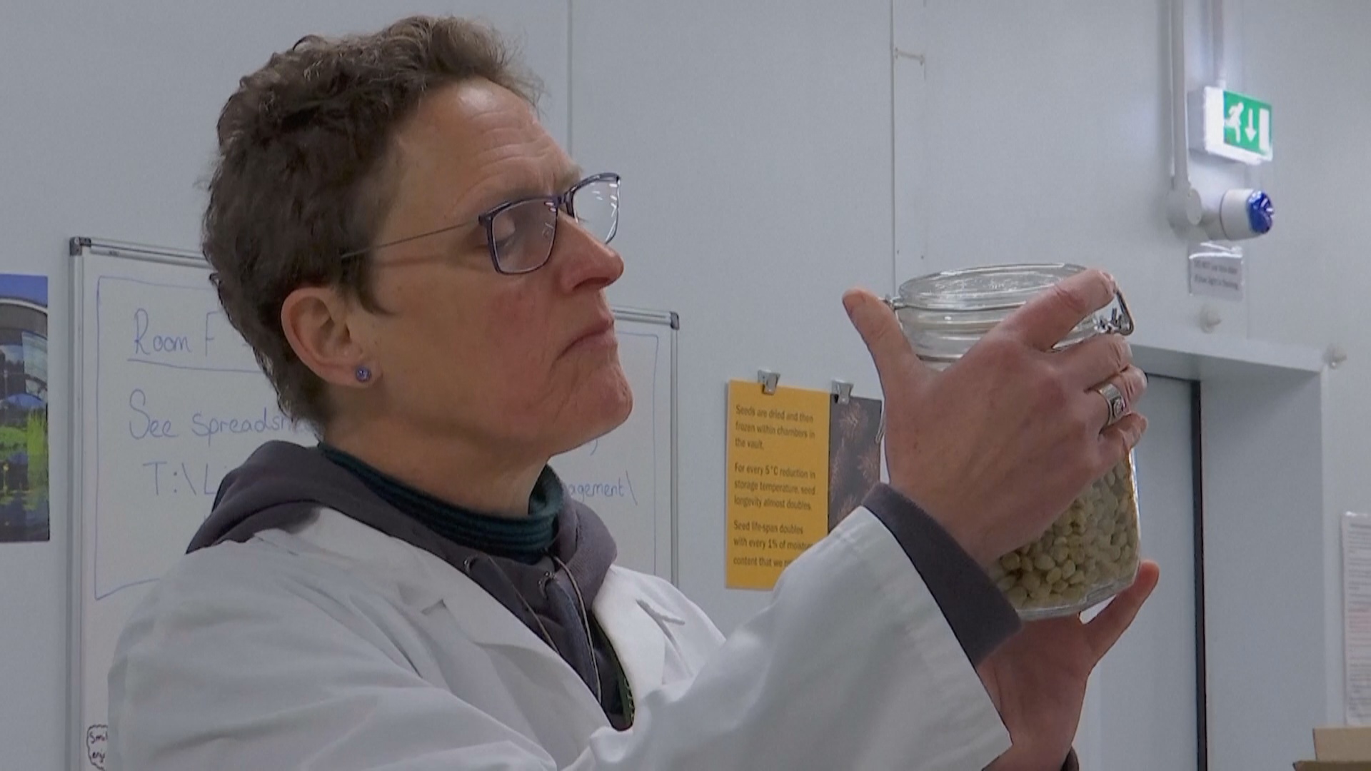 25 лет исполнилось крупнейшему в мире банку семян диких растений