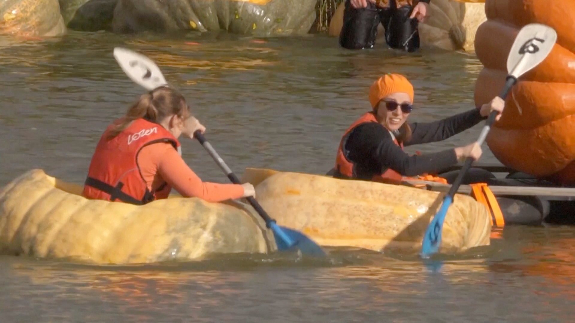 Гонки на тыквах устроили в бельгийском городке Кастерле Гонки на тыквах устроили в бельгийском городке Кастерле