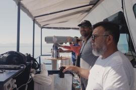 Двух редких вакит удалось увидеть в Калифорнийском заливе