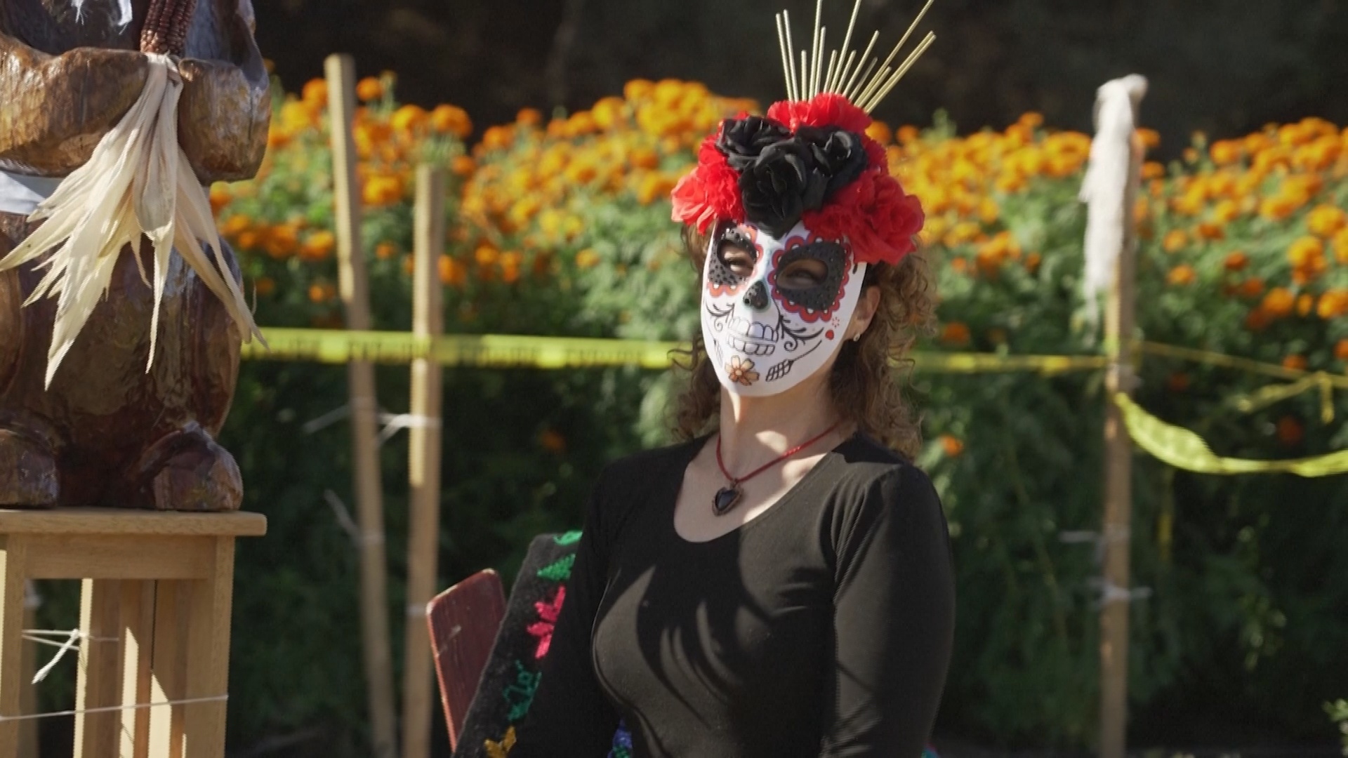 В Калифорнии ко Дню мёртвых вырастили десятки тысяч бархатцев