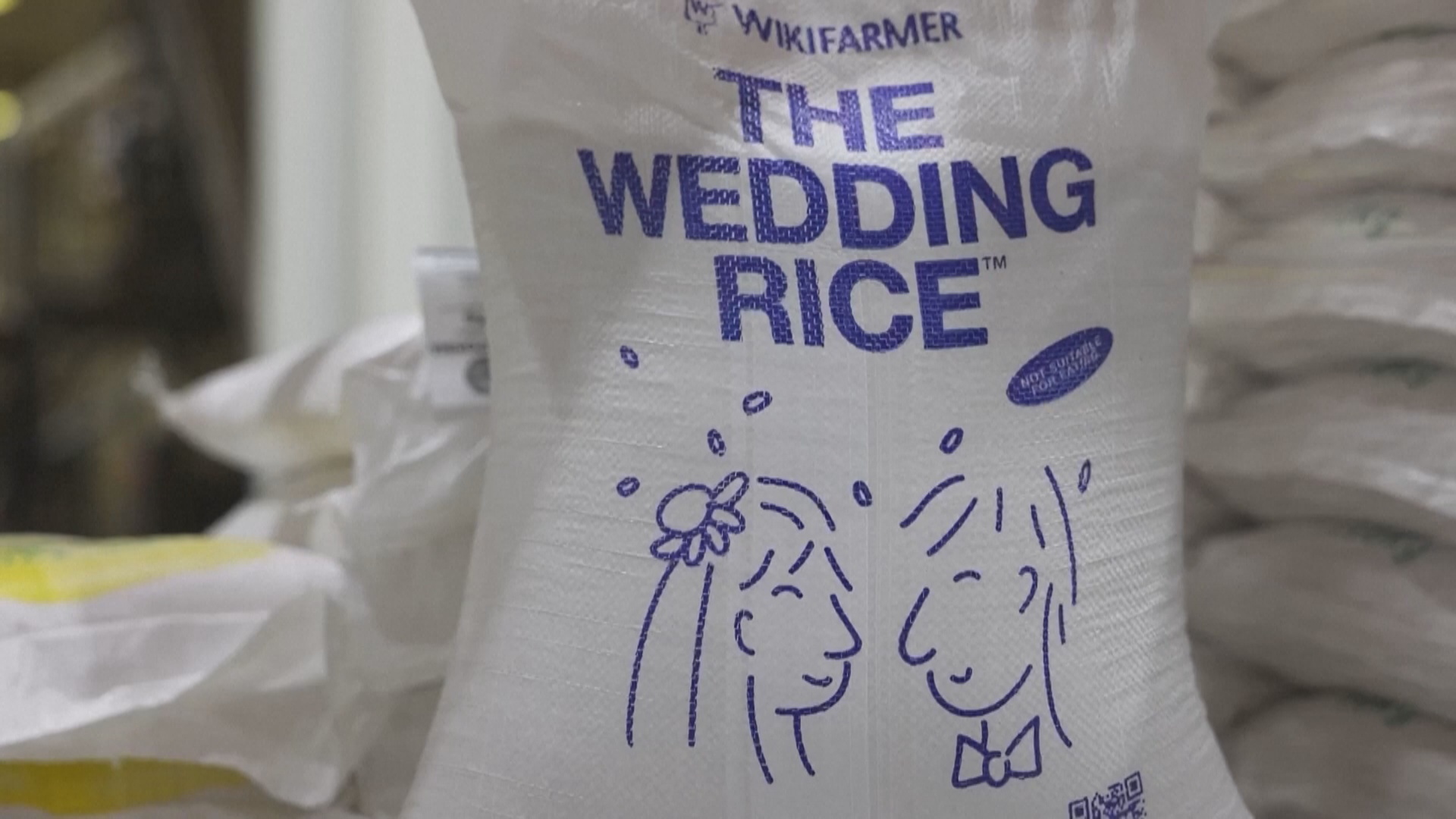 «Свадебный рис»: греческие фермеры нашли новый источник дохода «Свадебный рис»: греческие фермеры нашли новый источник дохода