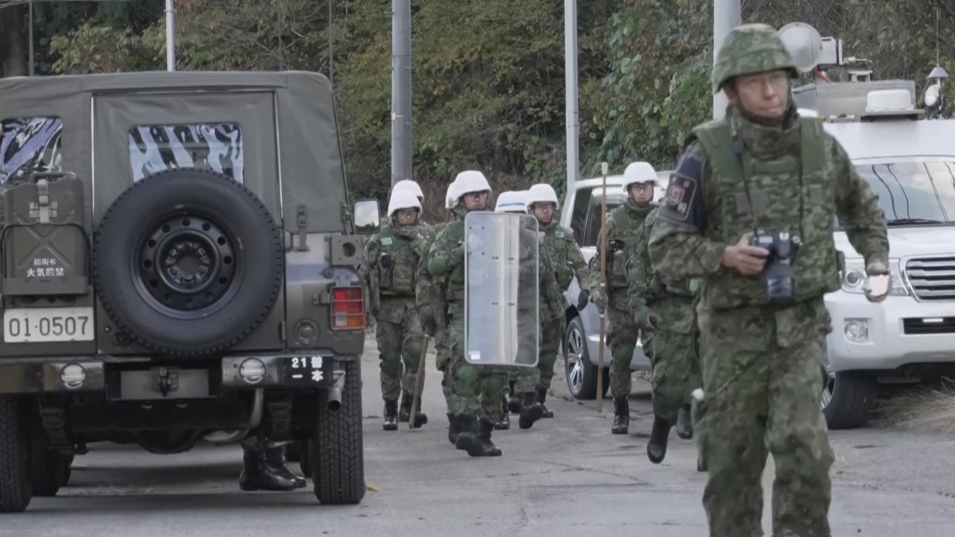 Япония отправляет армию, чтобы остановить волну нападений медведей на людей