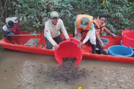 Тысячи редких черепах терекай выпустили на волю в притоках Амазонки