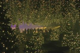 Огни и рождественское настроение: ледовый каток открылся в Берлине