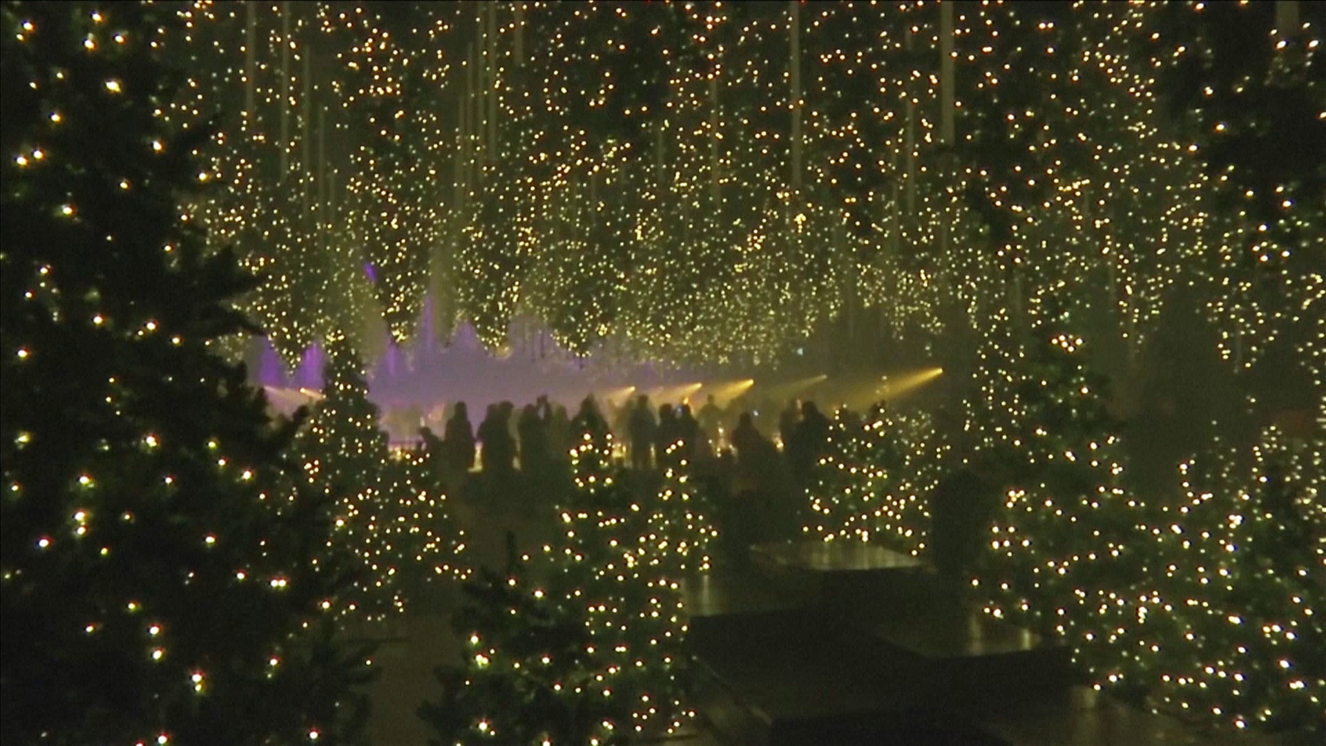 Огни и рождественское настроение: ледовый каток открылся в Берлине