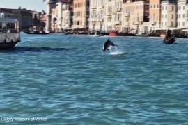 Дельфин Миммо поселился в Гранд-канале в Венеции и радует туристов