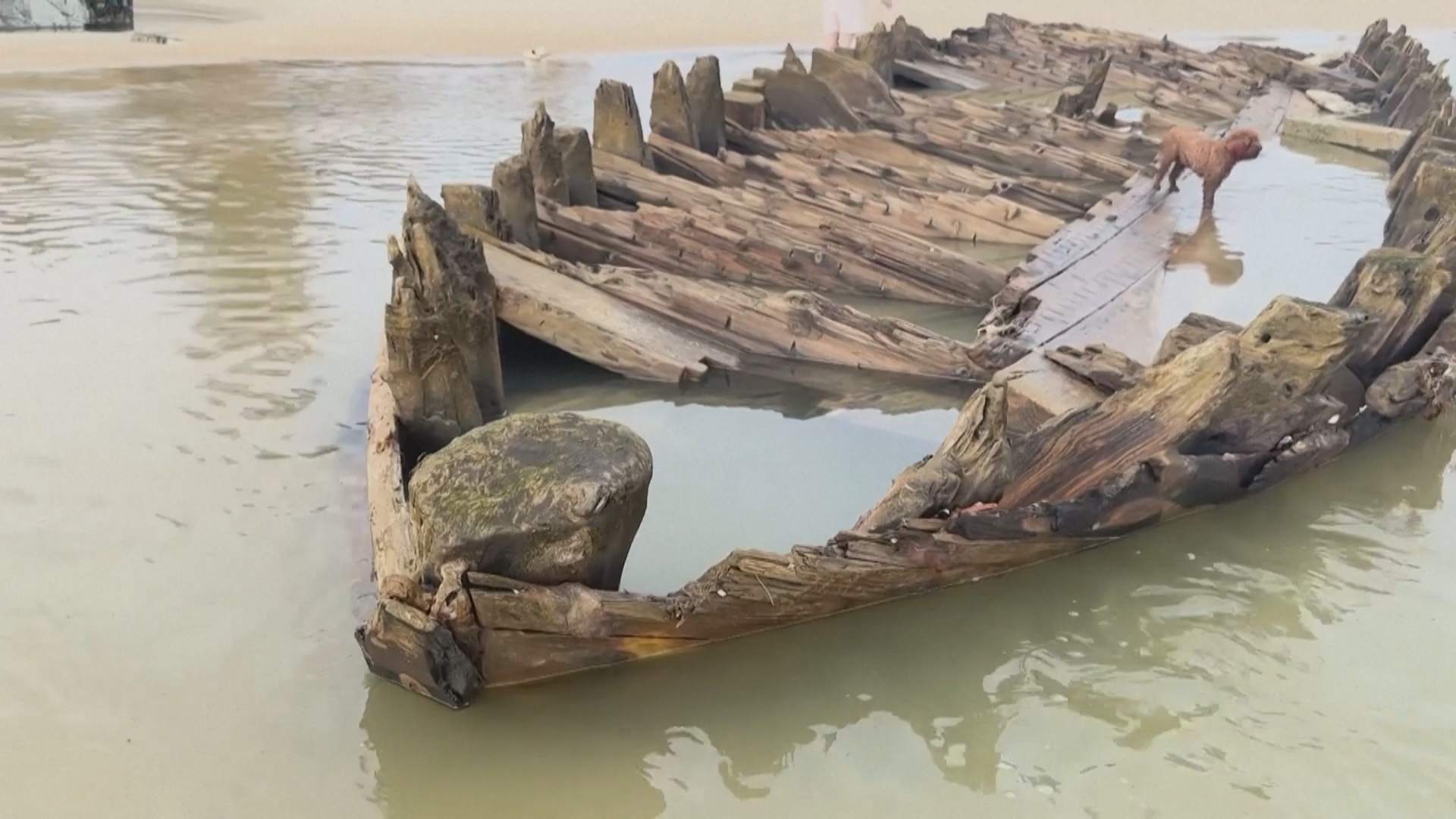 Останки старинного корабля обнажились у берегов Вьетнама после тайфуна «Калмаэги»