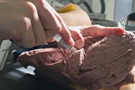 Британские студенты создали искусственные органы, чтобы заменить трупы