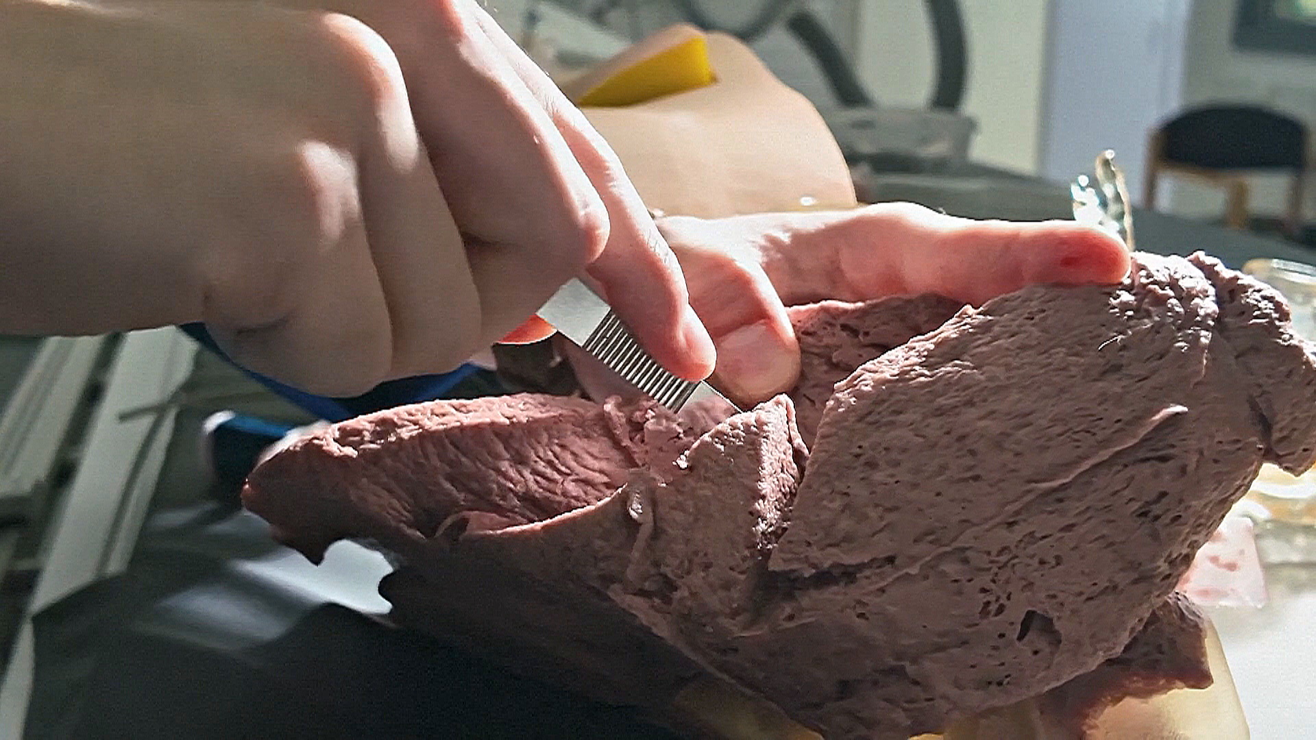 Британские студенты создали искусственные органы, чтобы заменить трупы Британские студенты создали искусственные органы, чтобы заменить трупы