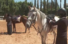 Вопреки войне: молодые йеменцы готовятся к турниру по конному спорту