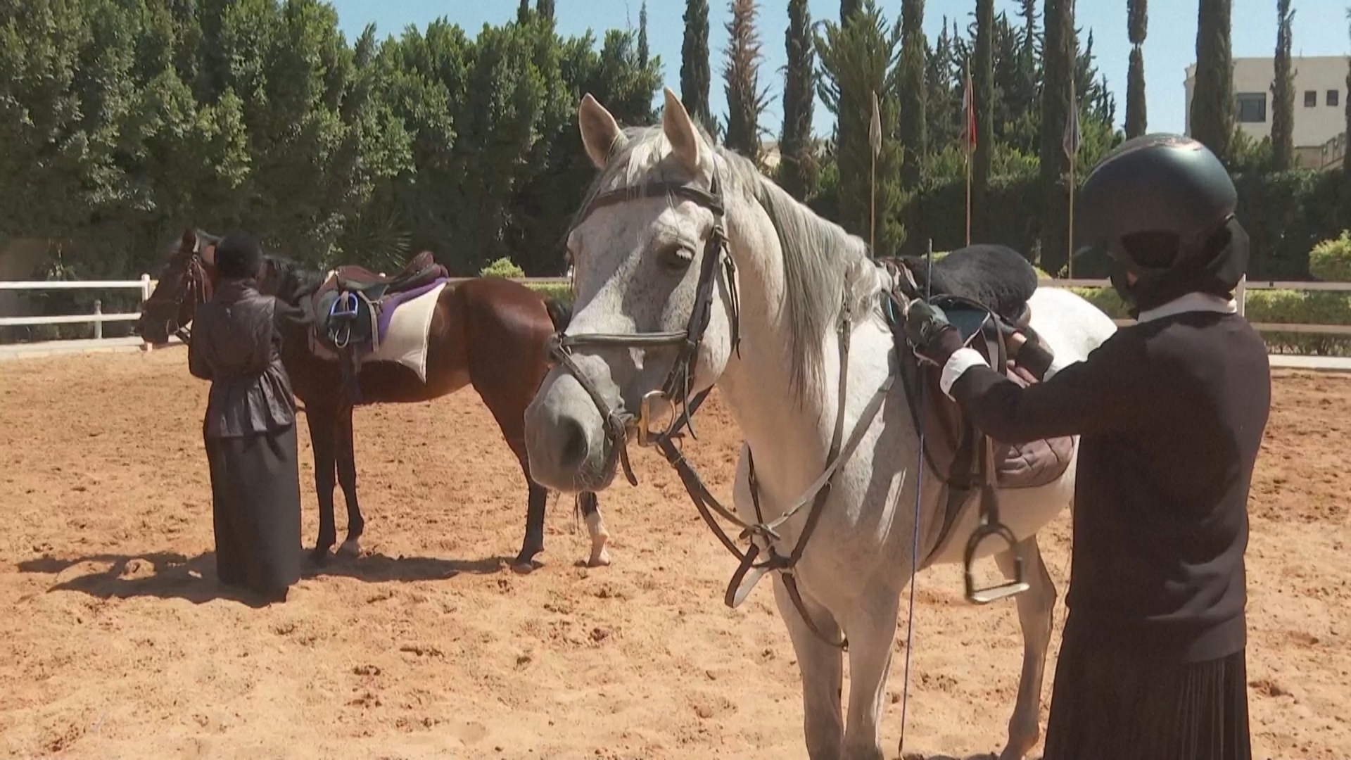 Вопреки войне: молодые йеменцы готовятся к турниру по конному спорту