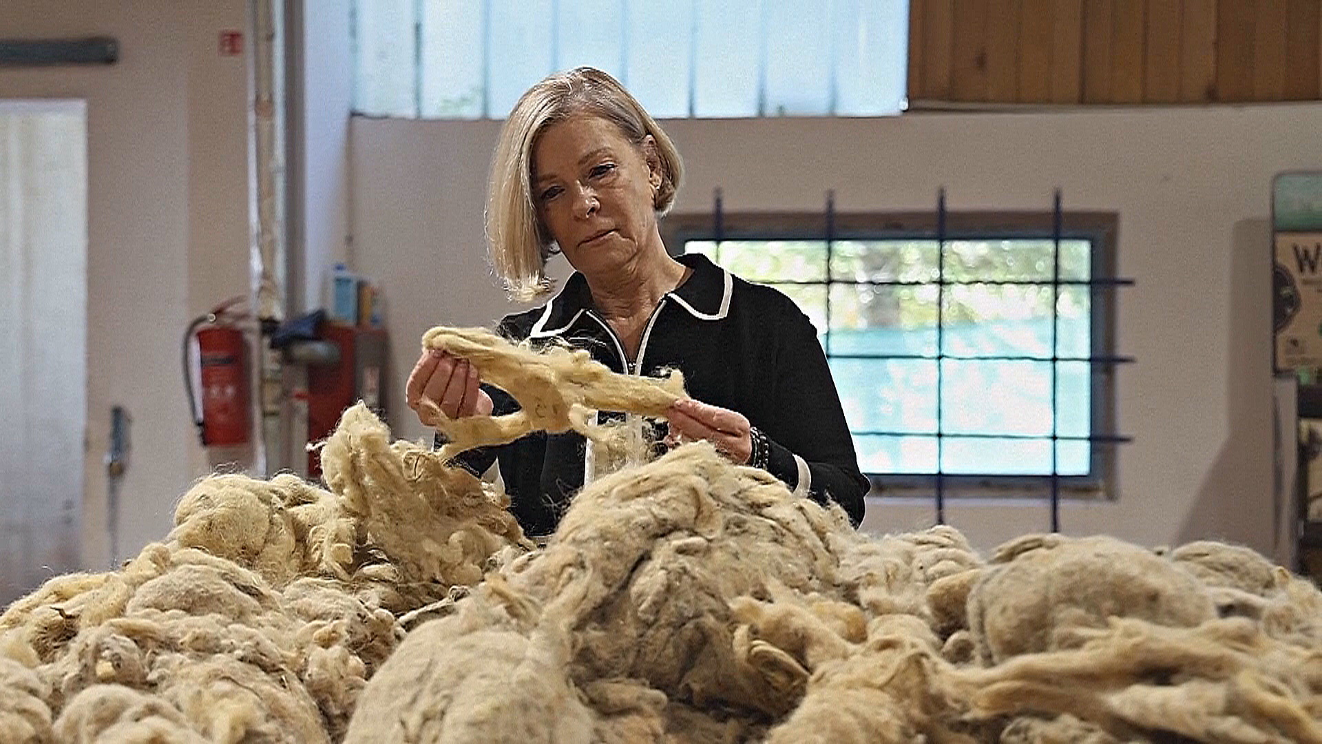 Хорватка превращает шерстяные отходы в экологичное удобрение Хорватка превращает шерстяные отходы в экологичное удобрение