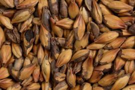 Как жженый солод повышает маржинальность темного пива