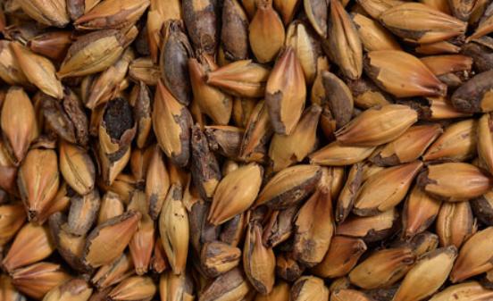 Как жженый солод повышает маржинальность темного пива