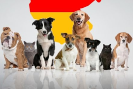 В каких странах владельцы собак получают налоговые льготы