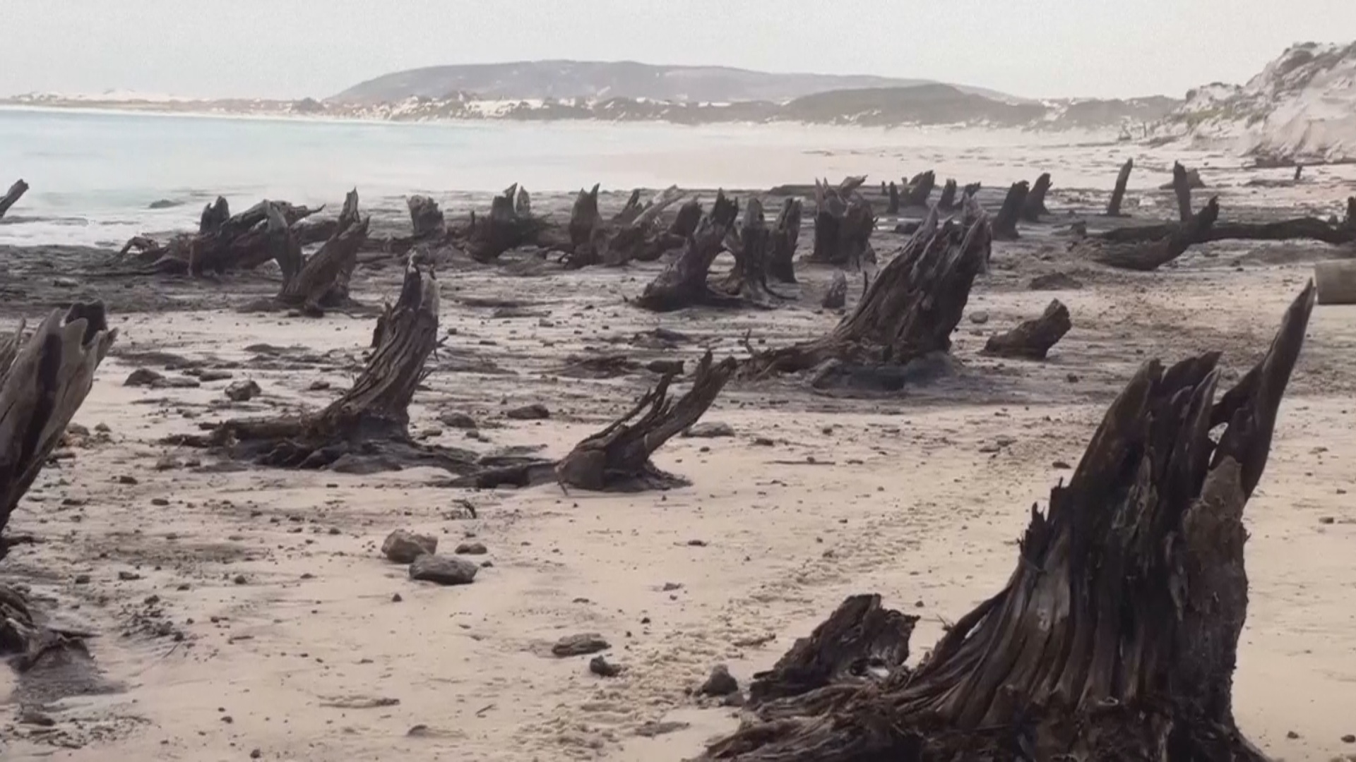 Останки древнего болота увидели учёные на побережье в Австралии