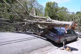 Сотни тысяч жителей Сан-Паулу остались без света
