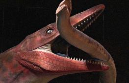 Новое открытие: доисторические хищники мозазавры могли обитать в реках, а не только в морях