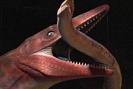 Новое открытие: доисторические хищники мозазавры могли обитать в реках, а не только в морях