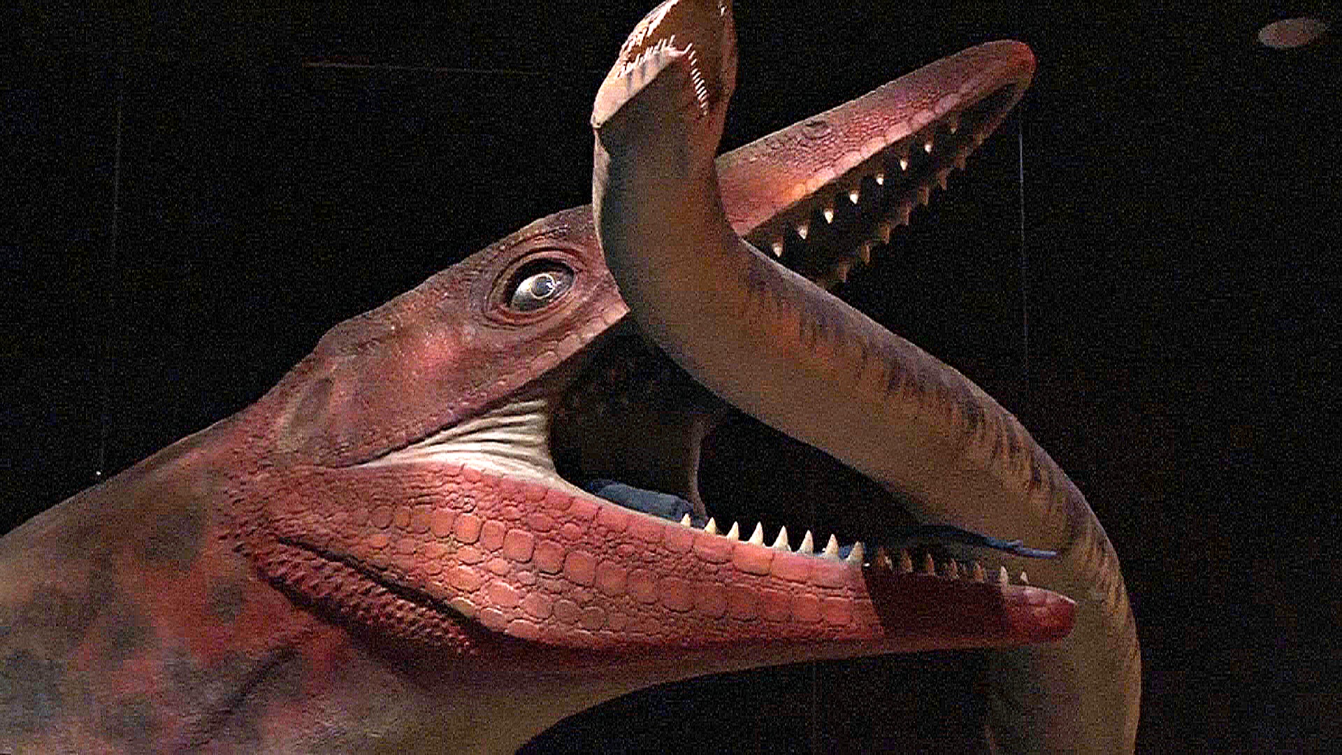 Новое открытие: доисторические хищники мозазавры могли обитать в реках, а не только в морях Новое открытие: доисторические хищники мозазавры могли обитать в реках, а не только в морях