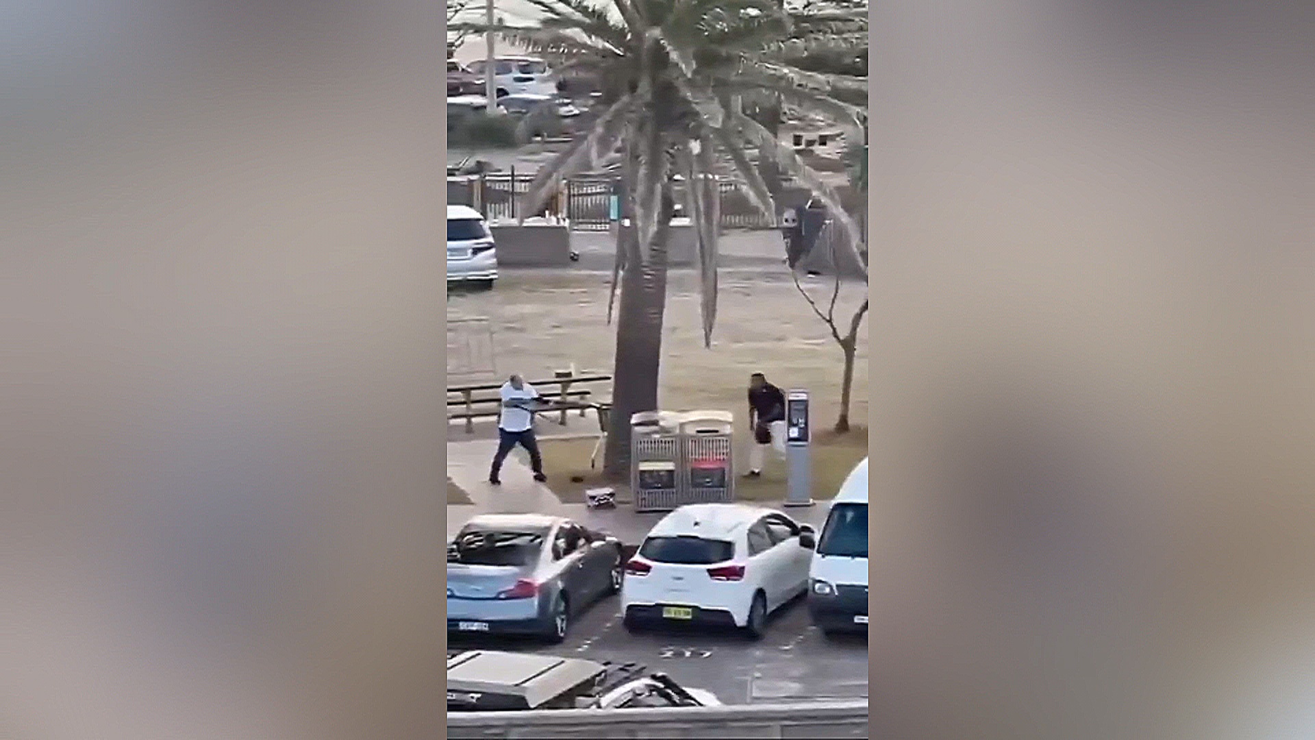 Отец и сын устроили массовую стрельбу на пляже Бонди в Сиднее Отец и сын устроили массовую стрельбу на пляже Бонди в Сиднее